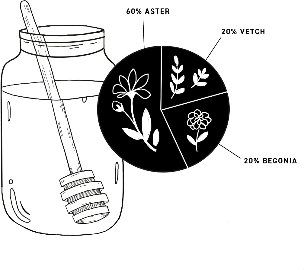 best_bees_honey_dna best_bees_honey_dna
