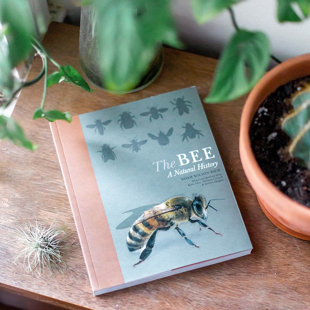 best_bees_product_the_be_a_natural_history