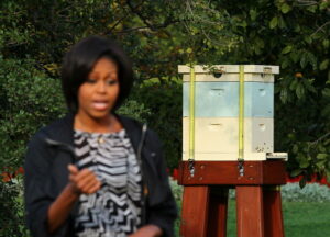 The bees at the White House and Naval Observatory aren't going anywhere, folks!