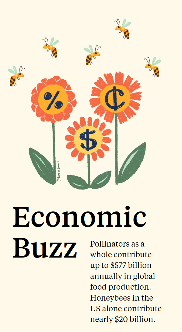 The Economic Contribution of Bees on World Bee Day, by Chelsea Bretal and Paige Mulhern of The Best Bees Company
