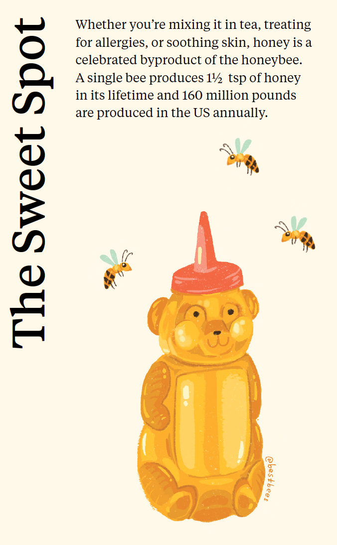 On World Bee Day, give some thanks to the hard work that goes into making honey!
