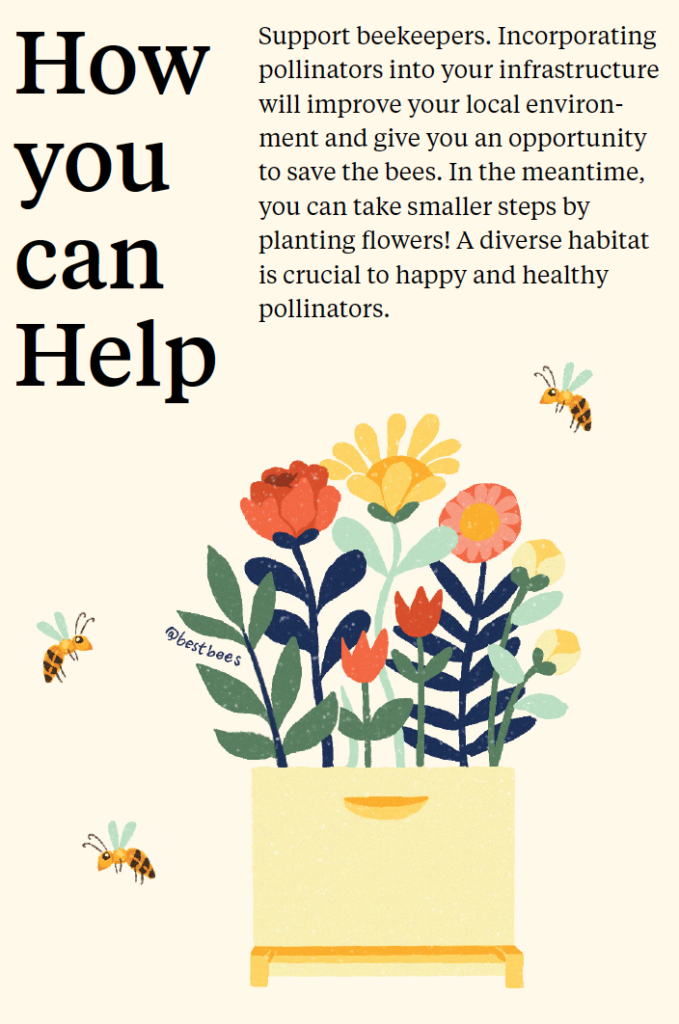 World Bee Day is an opportunity for anyone to make an impact on making the world a better place